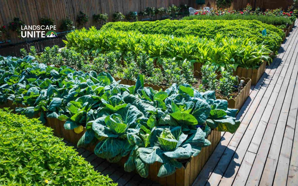 8 terraced vegetable gardens