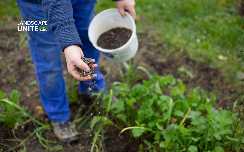 cost effective organic solutions diy organic fertilizer recipe