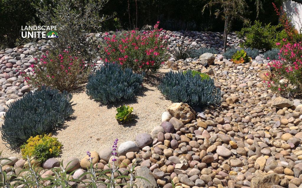 why the confusion around zeroscape vs xeriscape