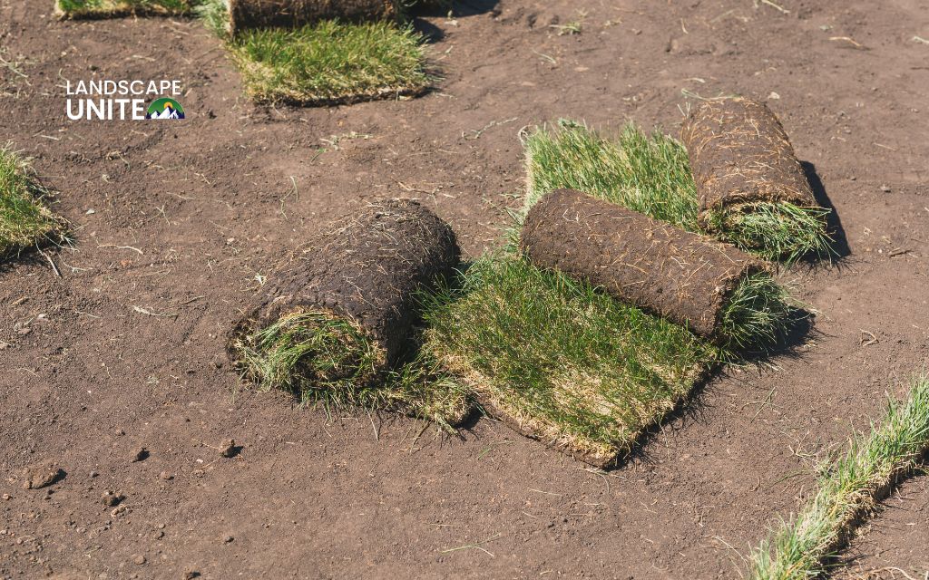 artificial turf professional installation process in denver