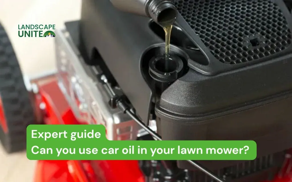 Can you use car oil in your lawn mower? Expert guide