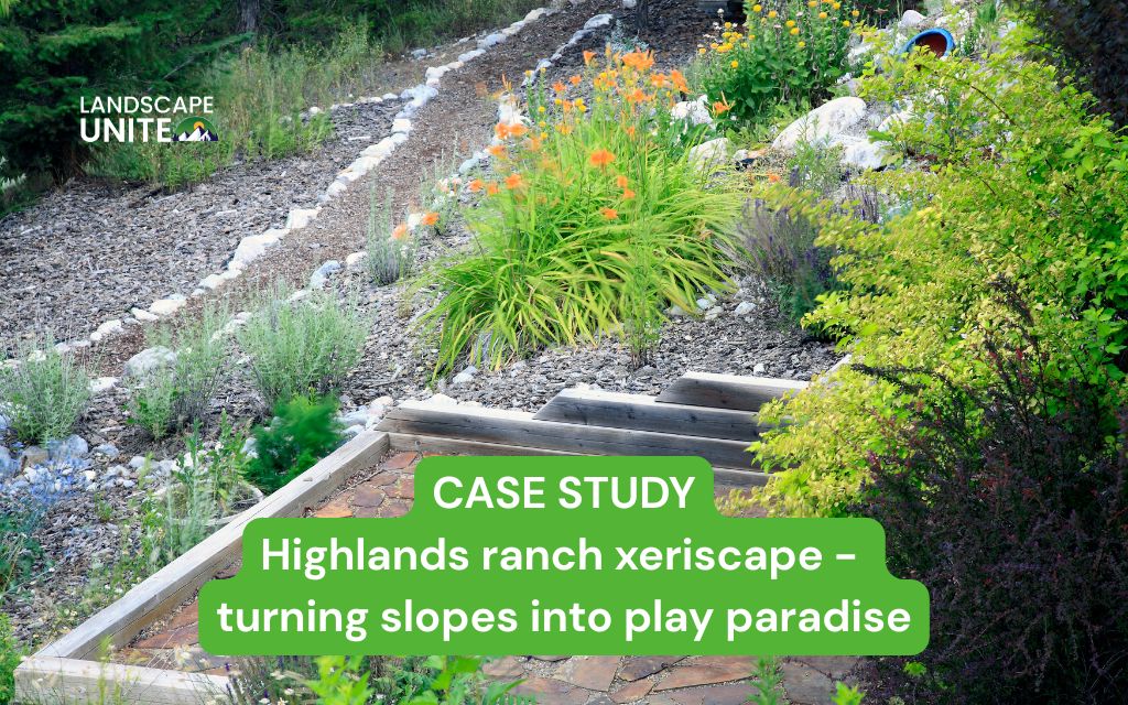 Case study: Highlands Ranch Xeriscape - turning Slopes into Play Paradise