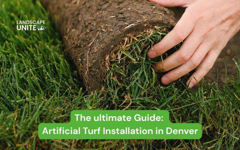 ultimate guide artificial turf installation denver co